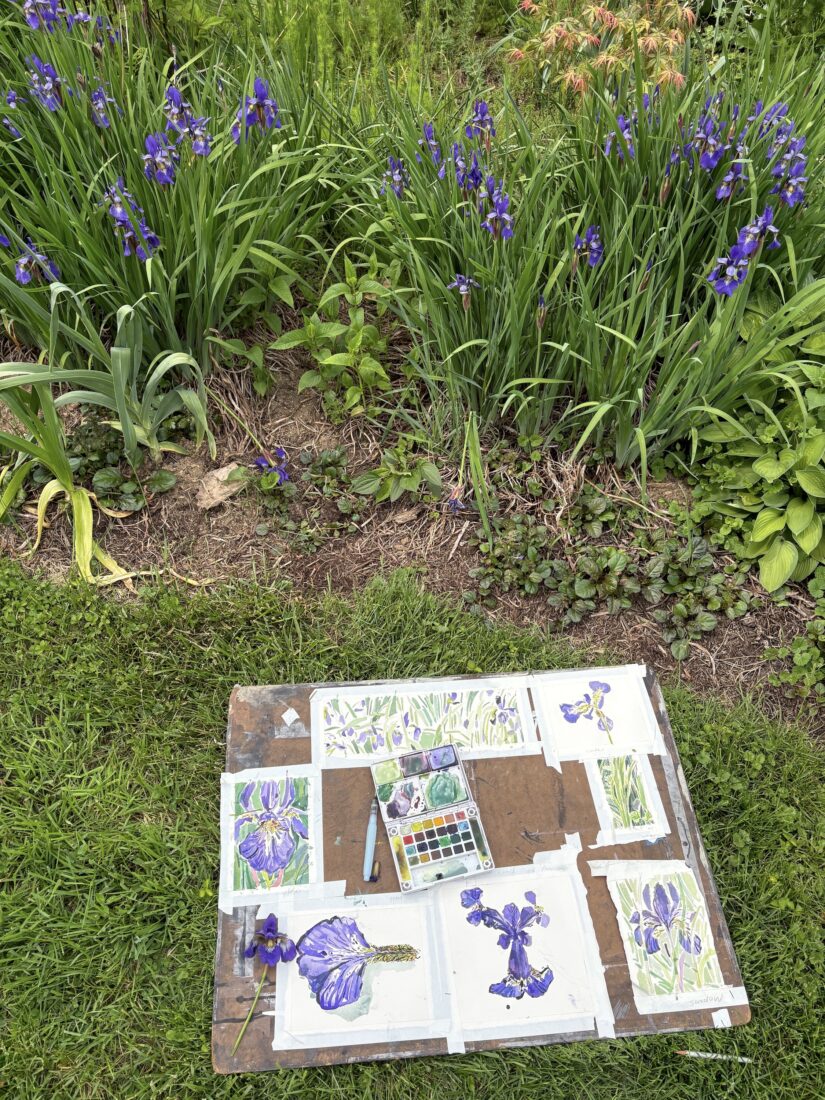 A board with paintings of irises in a garden