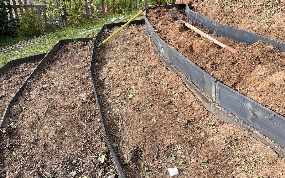 A warm March day is great for expanding your garden beds or digging out old root systems. 