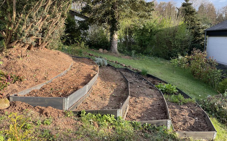 It’s important to prep your soil before planting.