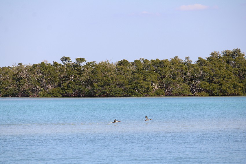 The Town of Longboat Key bought the Sister Keys in 1992 to protect the slice of Southwest Florida nature.