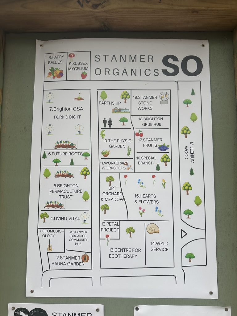 Outdoor Sauna Brighton: Stanmer Sauna Garden Review