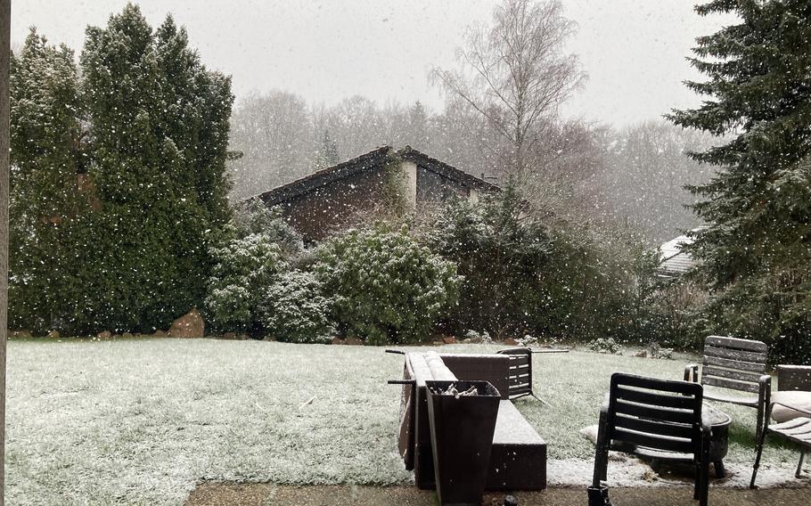 January and February can be tough for a gardener. But a good dusting of snow can help insulate your bulbs and lawn. 