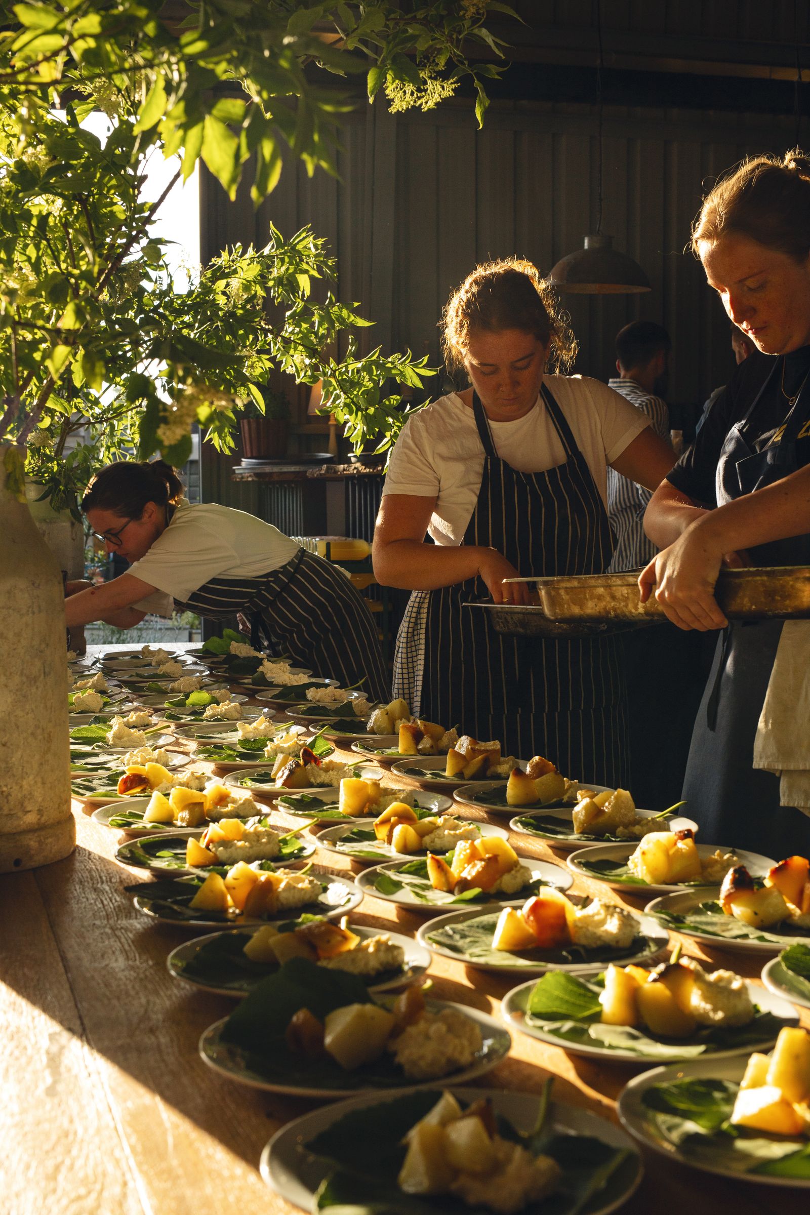 Image may contain Rene Farrell Ingrid Michaelson Food Meal Cafeteria Indoors Restaurant Buffet Person and Adult