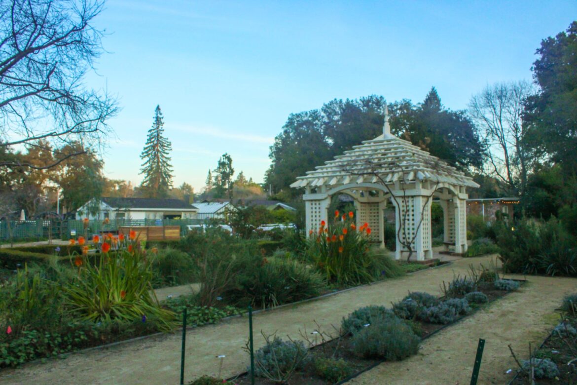 BLOOMING FLOWERS — In place of the current horticultural facilities, Gamble Garden Executive Director Mica Pirie plans on a new complex to be built. " I think of it [the new complex] as a dedicated education space," Pirie said.