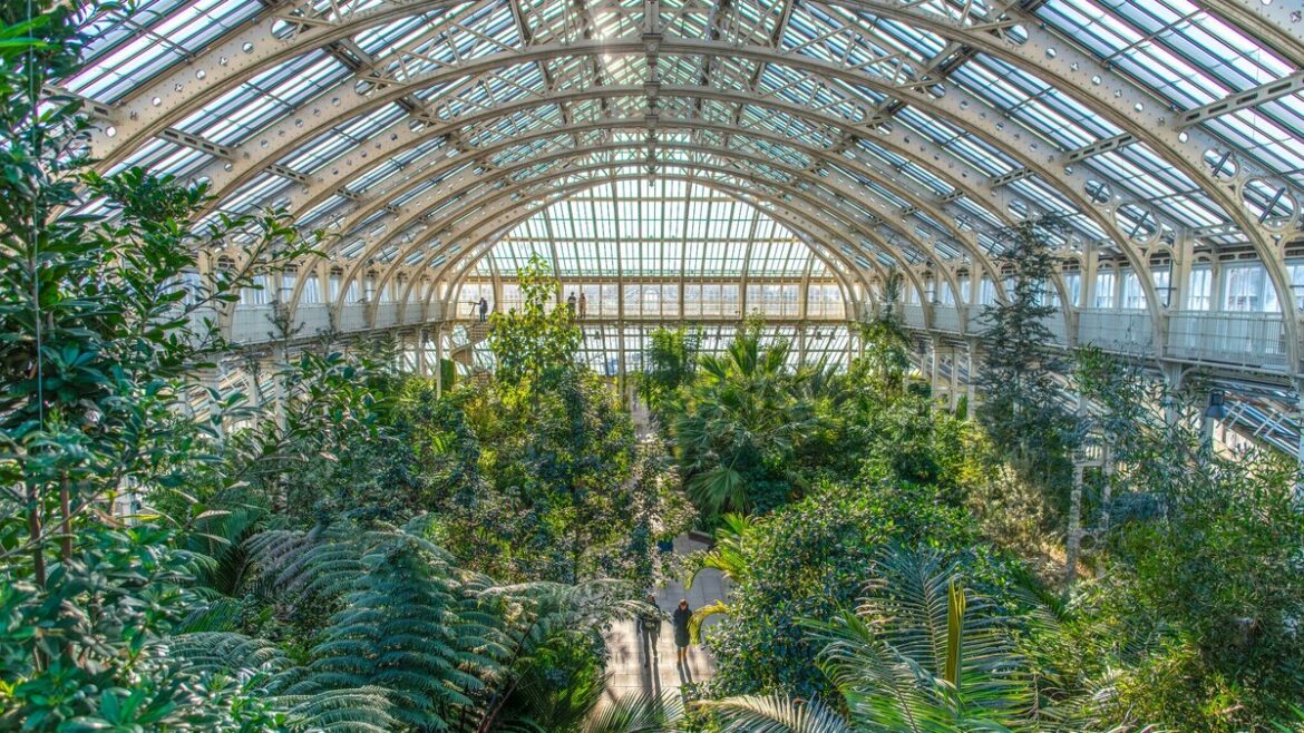 9 botanical gardens to visit in winter, from London’s Kew Gardens to Singapore’s Gardens by the Bay 9 botanical gardens to visit in winter, from London’s Kew Gardens to Singapore’s Gardens by the Bay