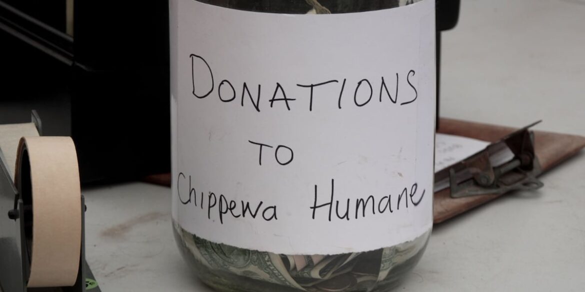 Raintree Garden Center hosting annual thrift sale to benefit Chippewa Humane Association