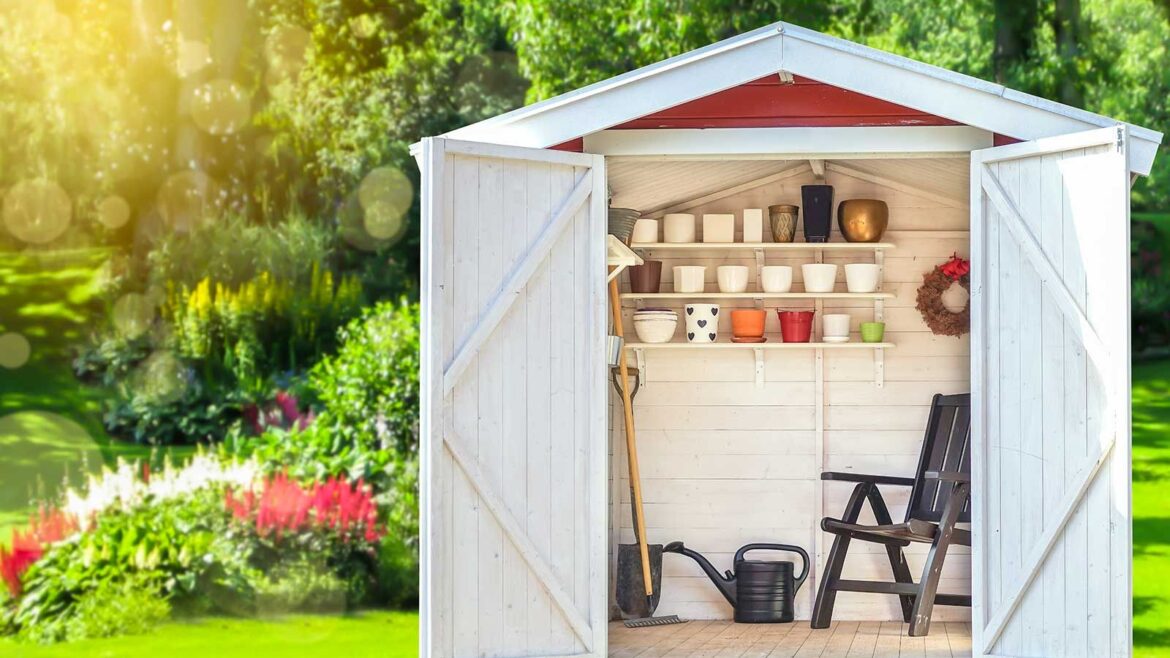 How To Declutter A Garden Shed In 30 Minutes: Expert Tips garden shed with doors open