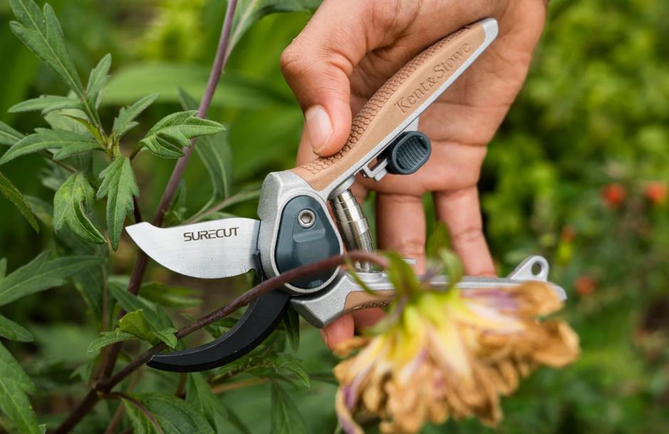Kent and Stowe Mini Secateurs