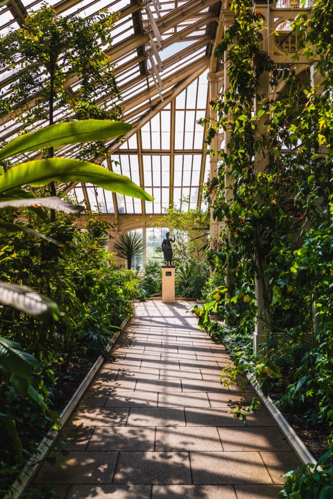 inside glasshouse at Kew Gardens