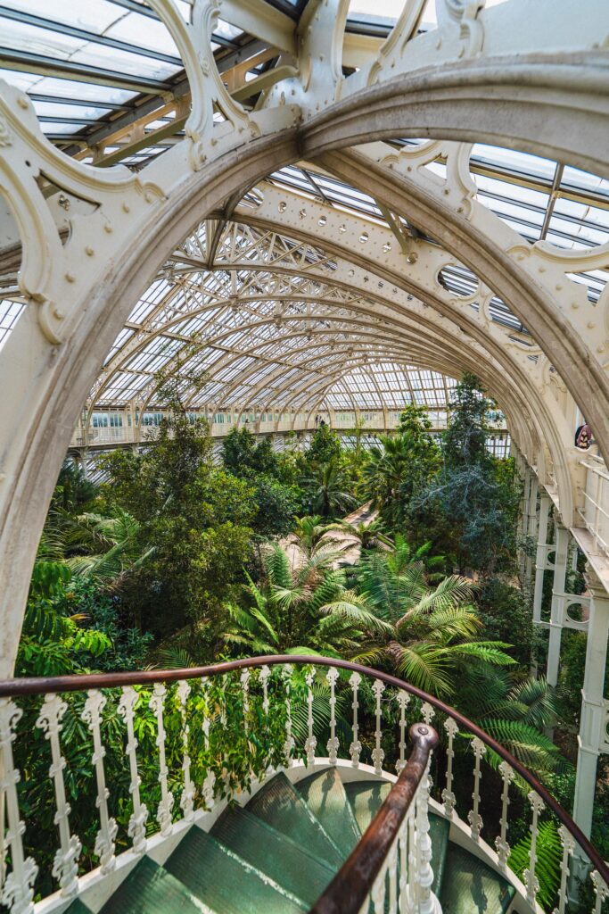 view of indoor glass house at Kew Gardens London