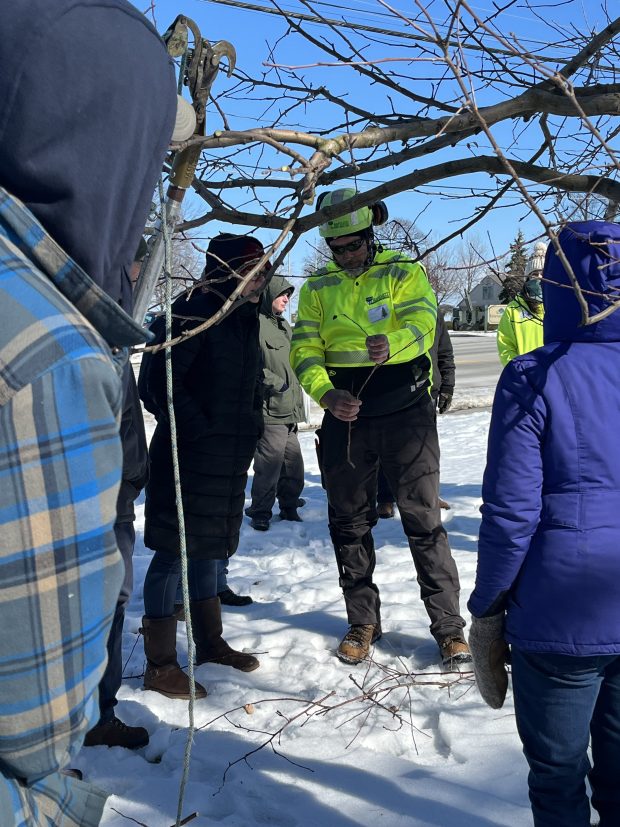 The two-hour program began with an indoor instructional session before participants headed outside for a hands-on demonstration led by certified arborists from Bartlett Tree Experts. (Clara Wicinski -- The Morning Journal)