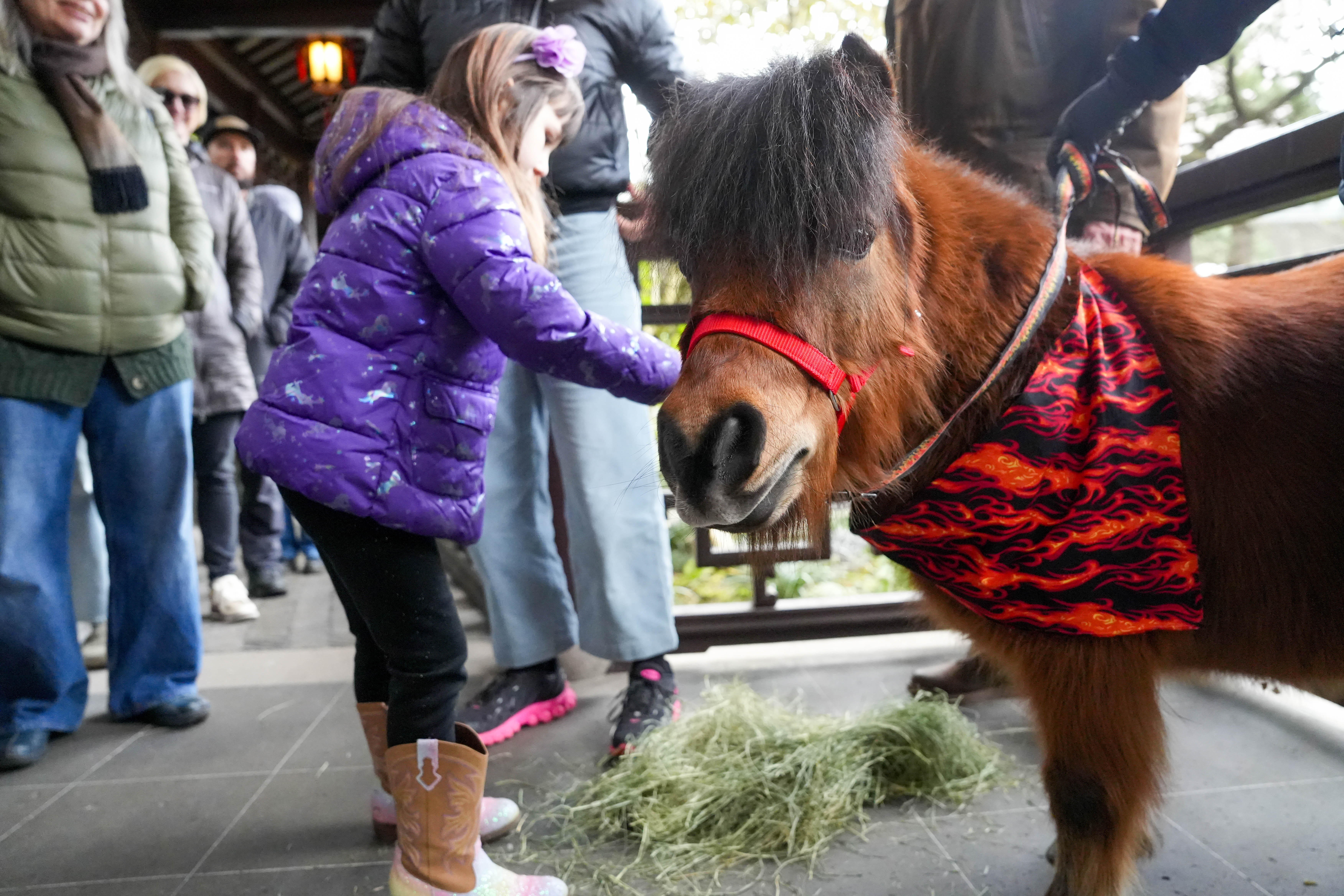 Portland’s Lan Su Chinese Garden celebrates the Lunar New Year on Tuesday, February 17, 2026.