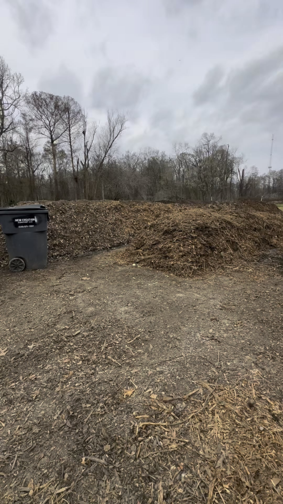 Compost Pile Timelapse