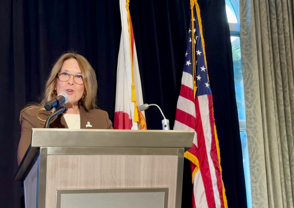 Dana Middleton, Palm Beach Gardens candidate