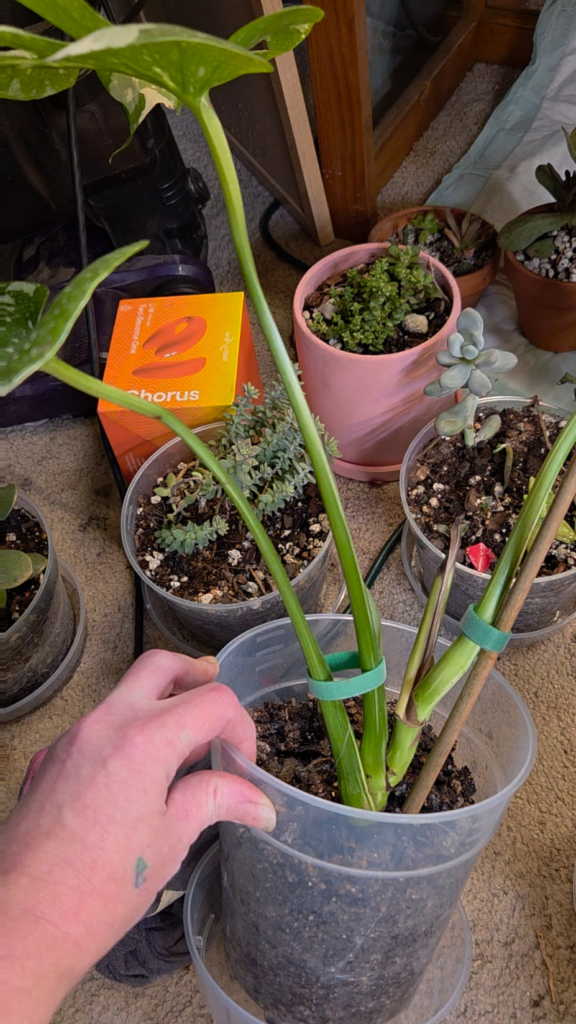 T.C. Propagation Help