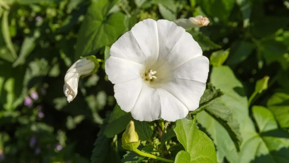 Image Credit: Deposit Photos