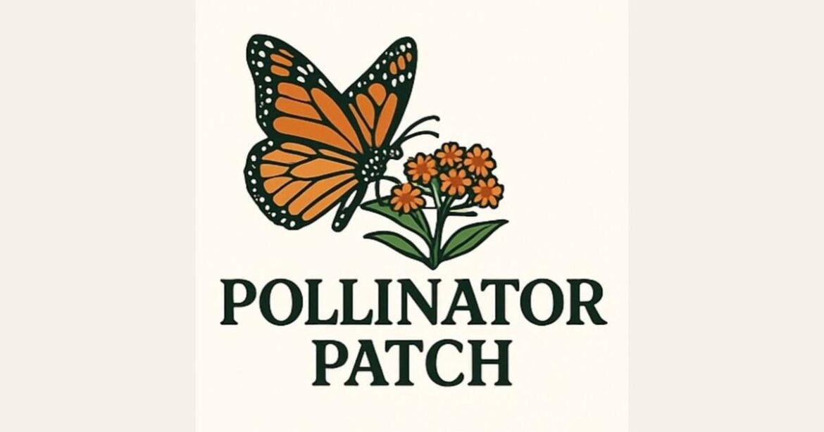 After way too many hours researching this: what makes a native garden look "intentional" vs. messy