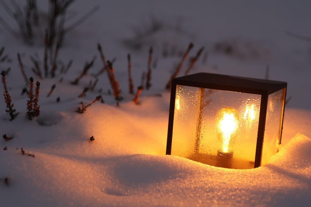 My Garden in Poland 2025 Part 1 (winter/early spring)