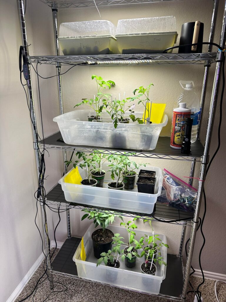 My Set up ( not the fanciest)