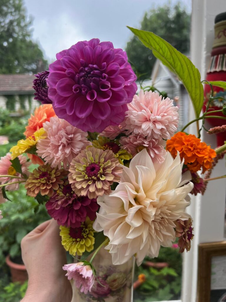 My first summer in this garden!