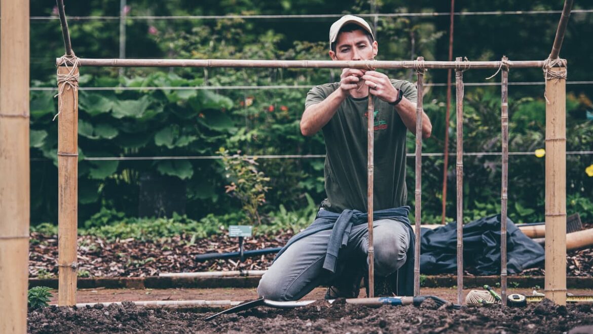 National Botanic Garden’s apprenticeships bridge Wales Horticulture Skills Gap