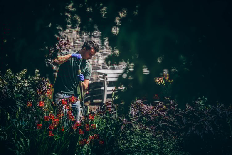 Tuesday  21 July 2020National Botanic Gardens of Wales