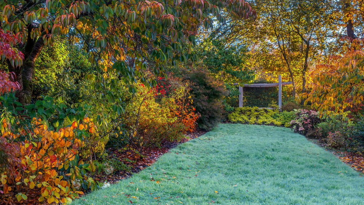 Aberglasney Gardens photographer wins accolades in global competition