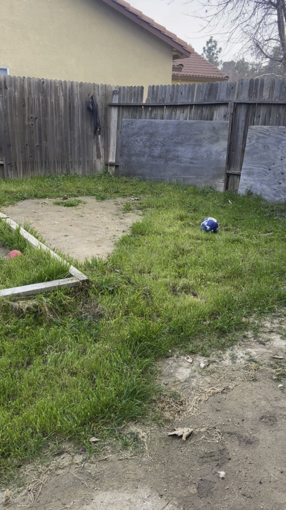 How to kill weeds/grass How to kill weeds/grass