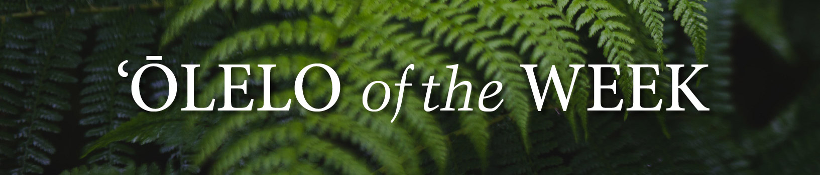 Olelo of the week