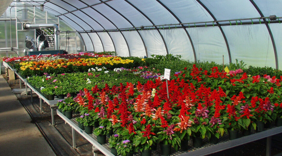 Webinar Series for Greenhouse, Nursery & Garden Center Professionals Webinar Series for Greenhouse, Nursery & Garden Center Professionals