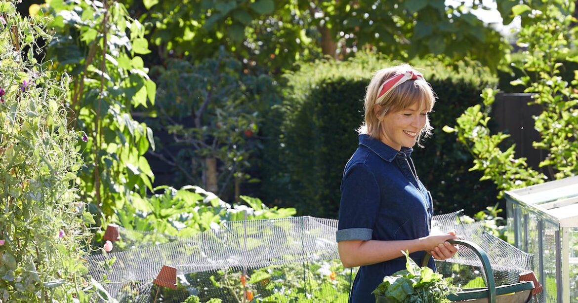 The best gardening jobs to boost wellbeing in spring – The Irish News The best gardening jobs to boost wellbeing in spring – The Irish News