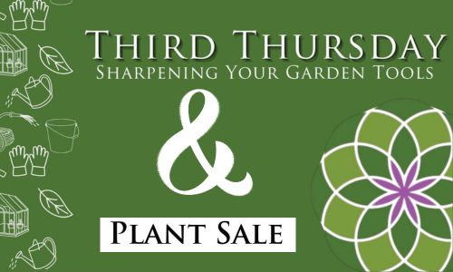 PLant Class and Sale