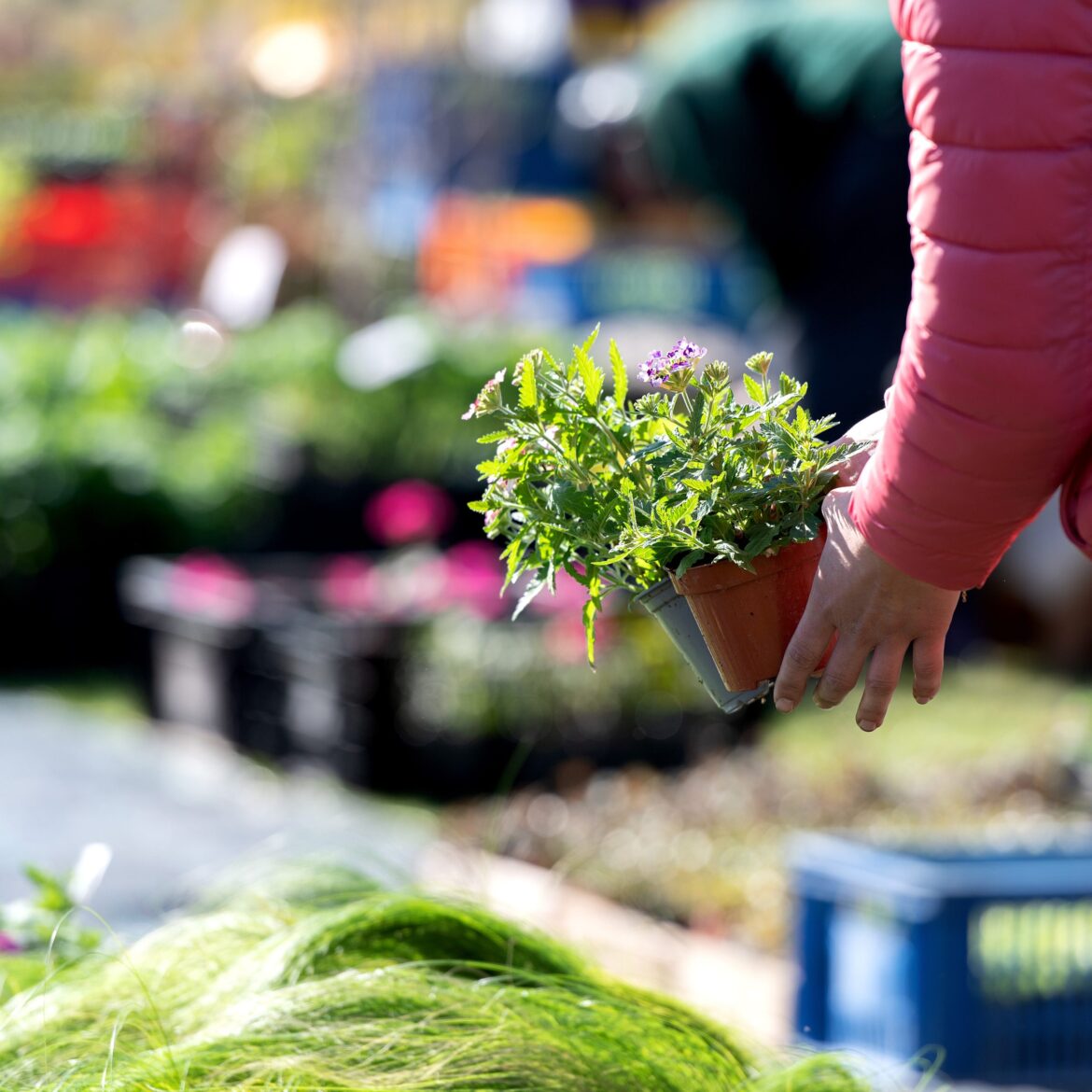 Tired of winter? Plan for your spring NOW and get ready for the HCC Alumni Association's Flower and Garden Show!