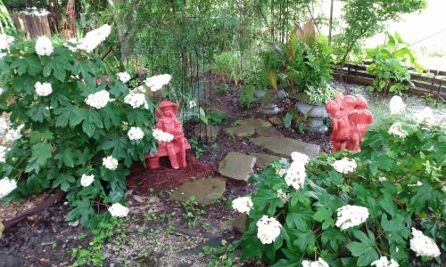 Calhoun County Gardening – From Two Maples to a Thriving Shade Garden: A Journey in Patience, Creativity, and Resourceful Gardening Planting Ideas For Shade Gardening