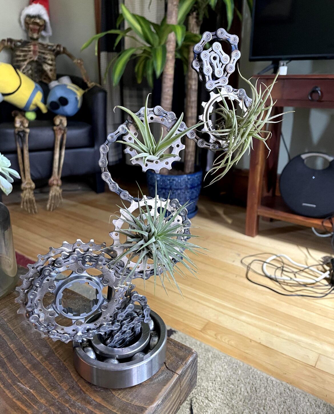 Finished making this airplant holder from parts off my bike. First time a making anything art related .