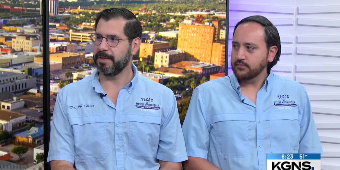 2026 Garden Expo Returns to Laredo