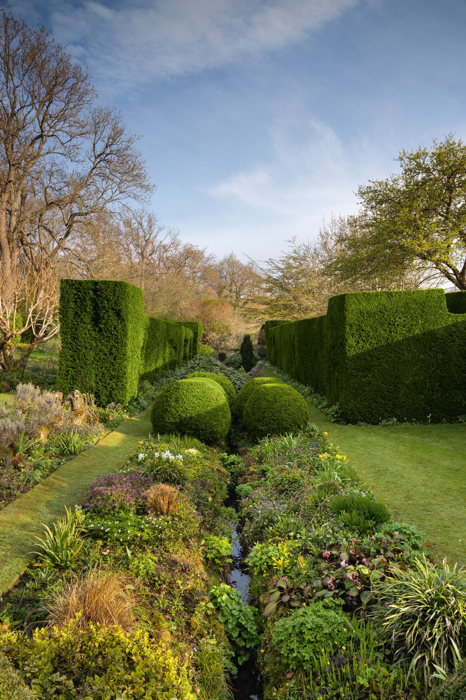 Image may contain Fence Hedge Plant Garden Nature Outdoors Grass Park Vegetation and Tree