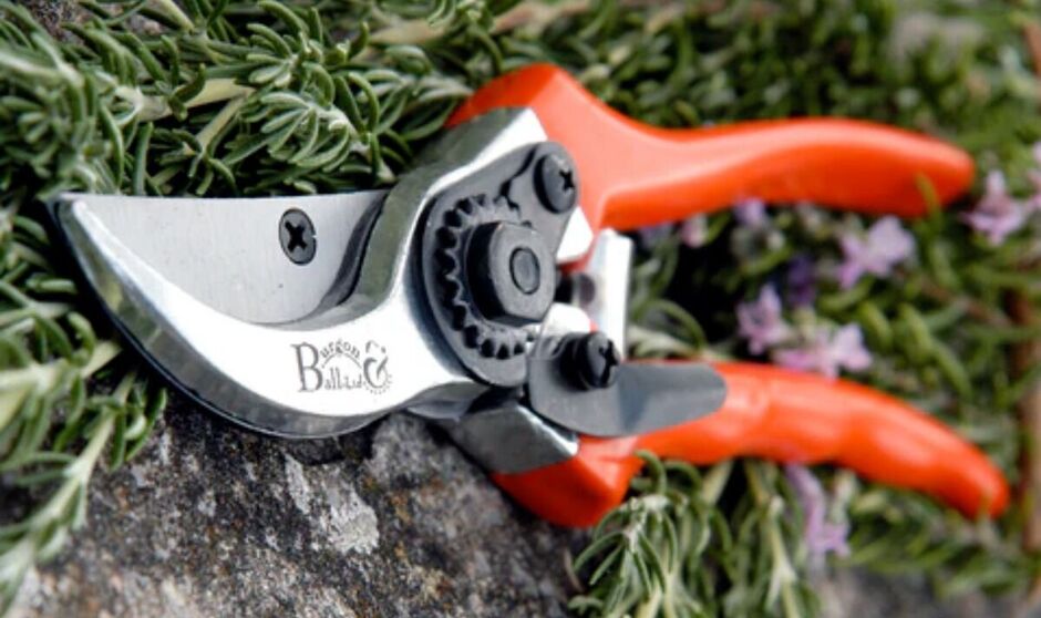 RHS Burgon and Ball Bypass Secateurs