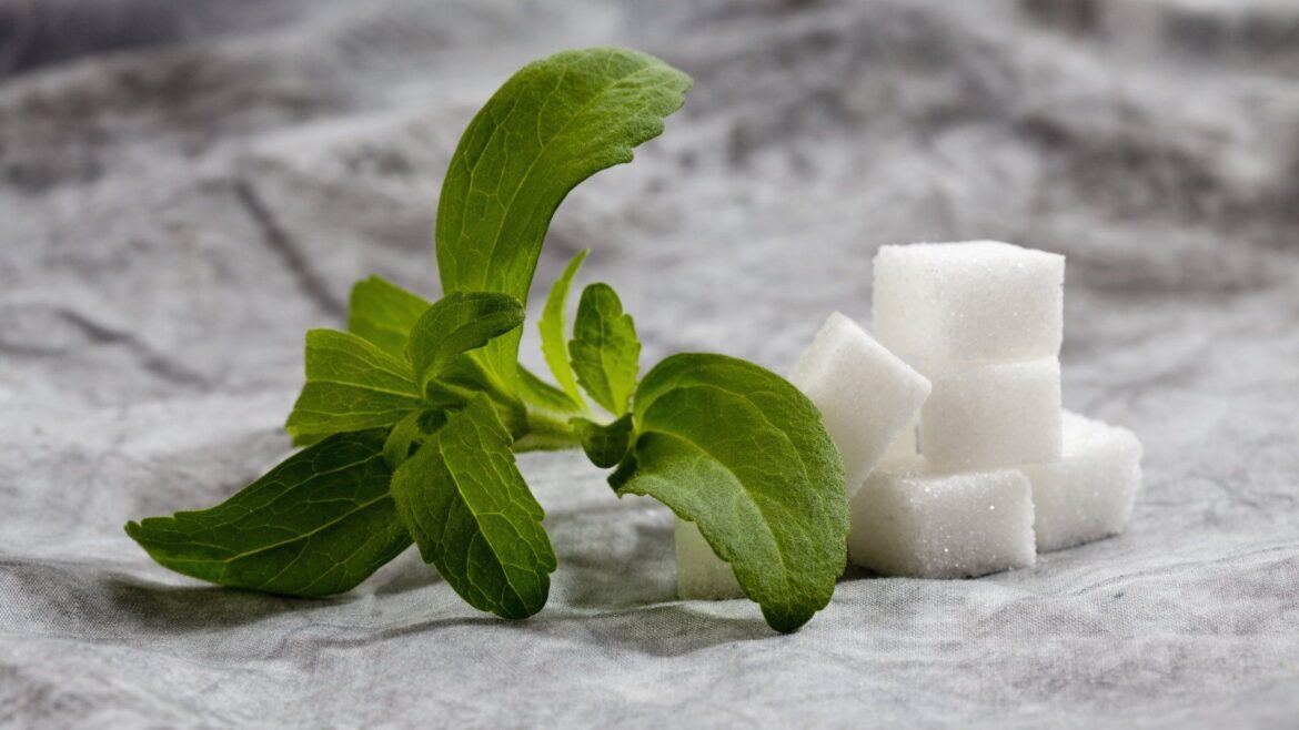 How to Grow Stevia for a Natural, Sugar-Free Sweetener A stem and leaves of the herb Stevia rebaudiana, next to cubes of sugar on a fabric background