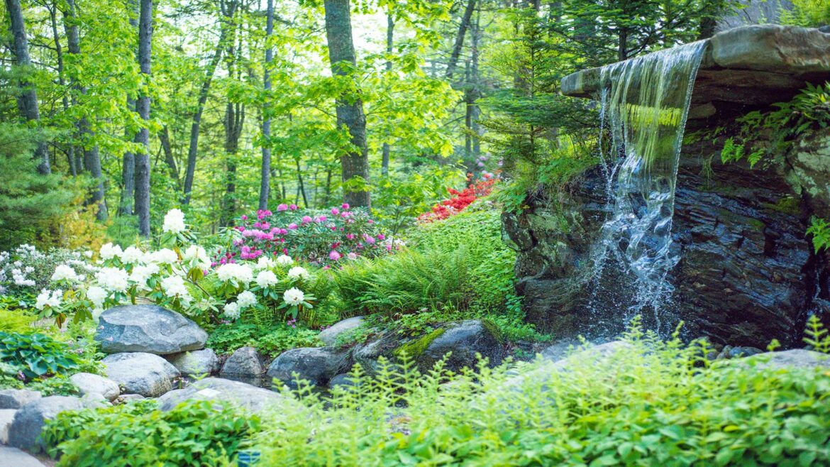 Discover the highlights of the Coastal Maine Botanical Gardens A waterfall and planting beneath a canopy of trees at Coastal Maine Botanical Gardens