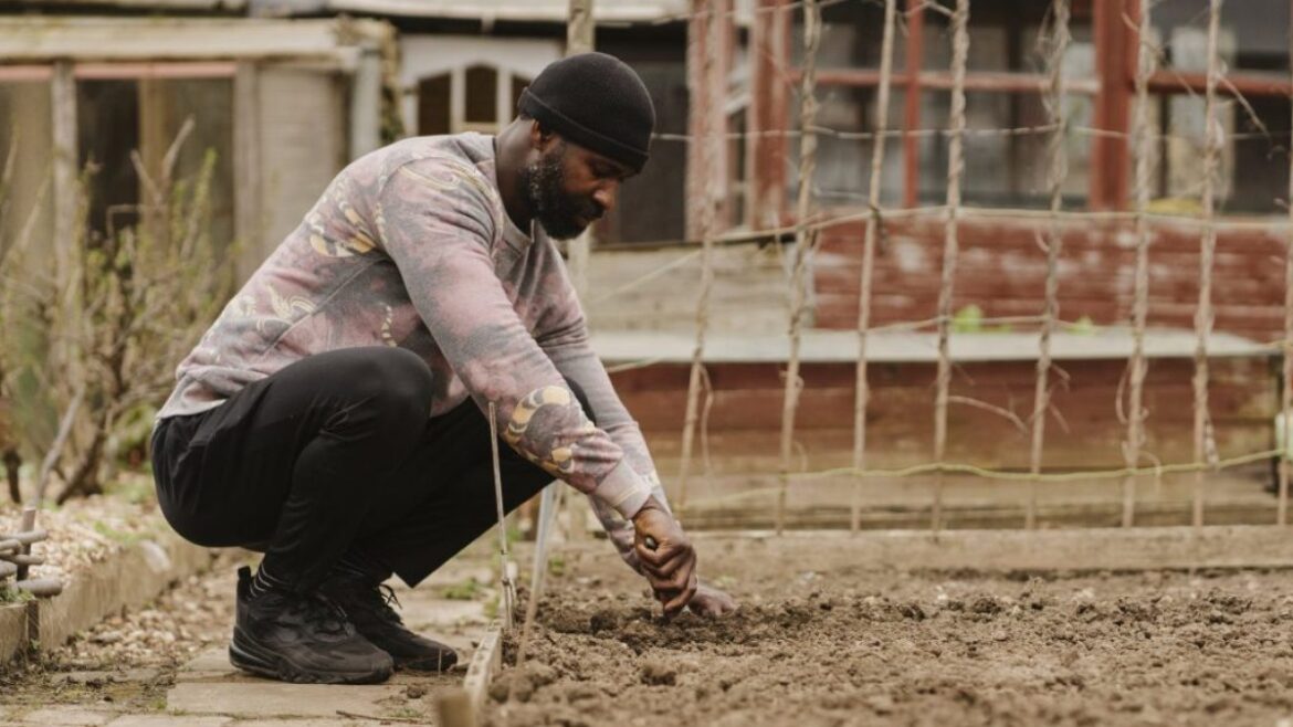How to prep your veg garden right now for an early spring harvest