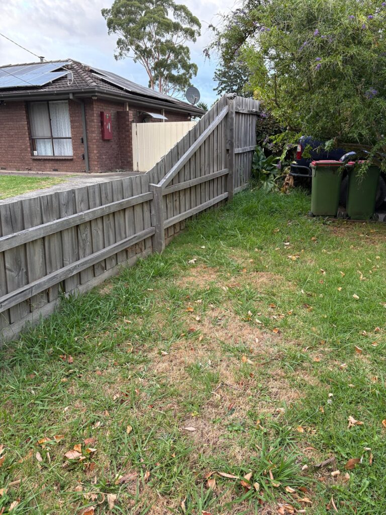 Same place a year later