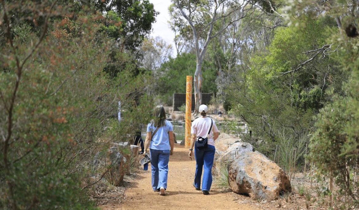 If You're Looking For A Peaceful Escape, This Accessible Nature Walk One Hour Away From Melbourne Will Engage Your Five Senses