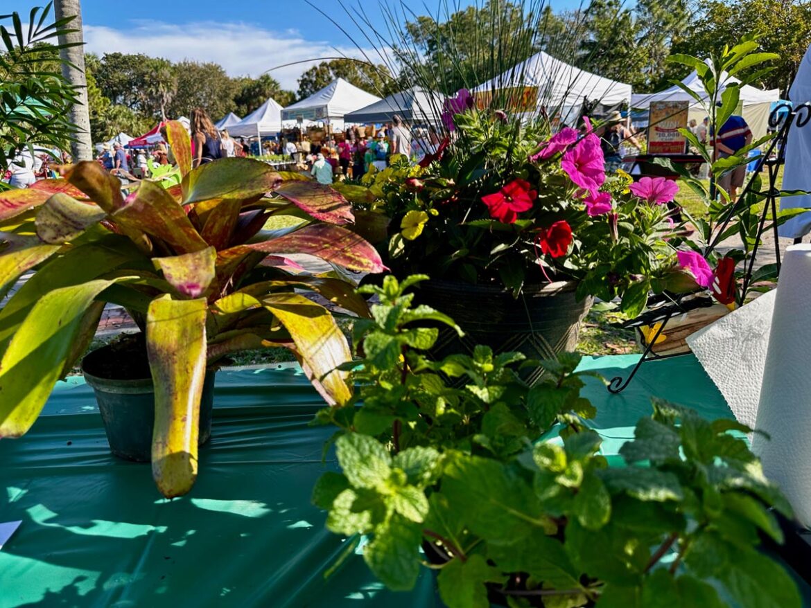 Jensen Beach Garden Club Garden Expo Blooms Bigger Than Ever