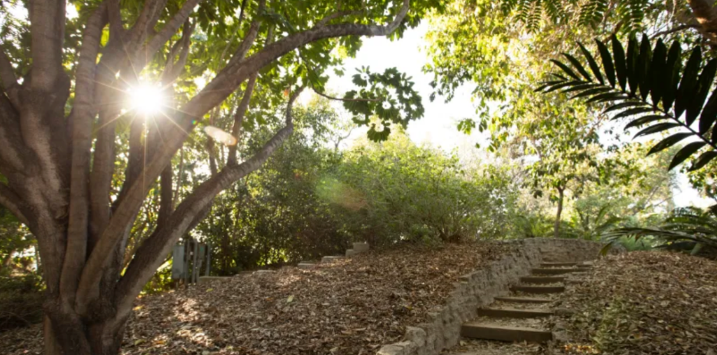 Cal State Fullerton’s Arboretum and Botanical Garden Receives $2.35 Million Gift