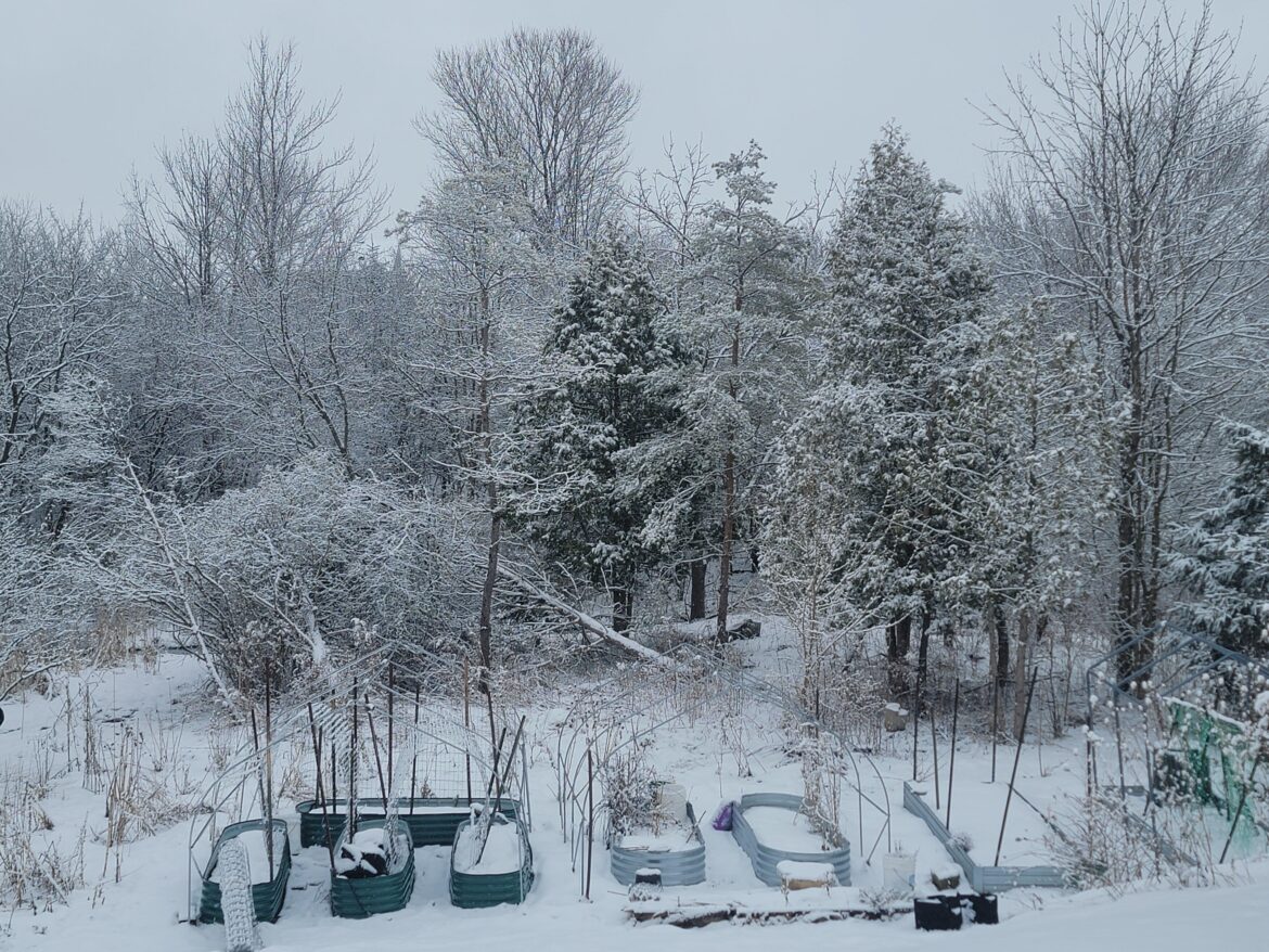 Sometimes I feel like a masochist for not unsubscribing from this sub in the spring when it seems the whole world is in boom and my garden will still look like this for two months 😂