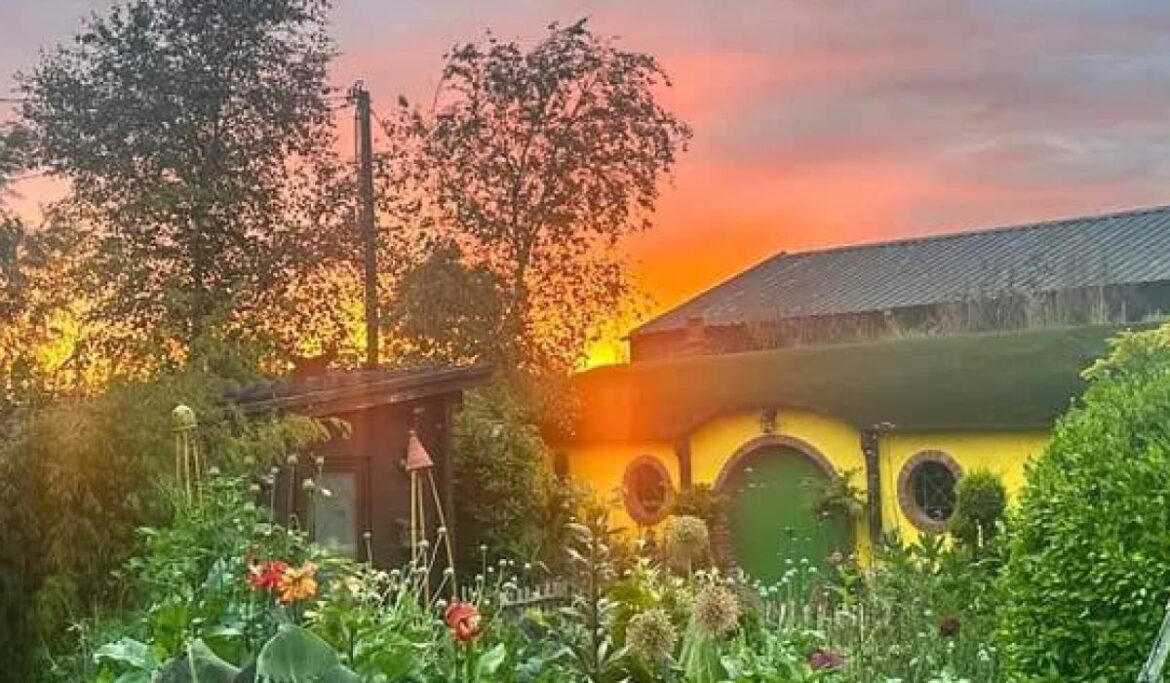 New direction for popular Limerick gardens