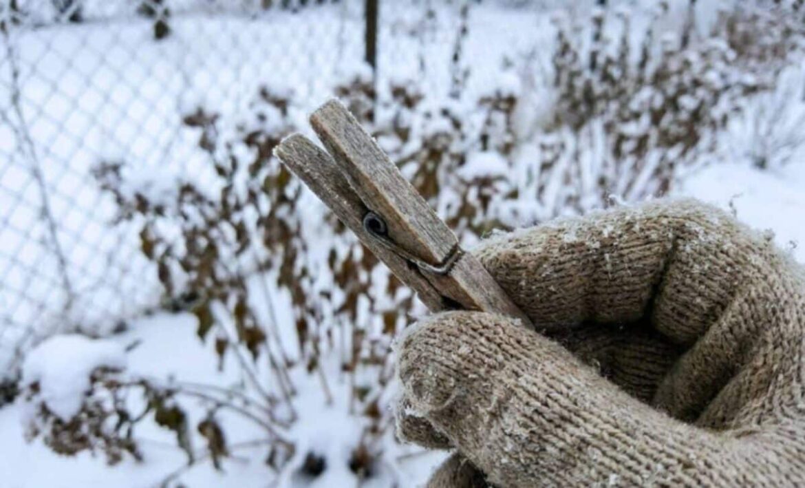 The Clothespin Method Boosting Yields In Chilly Climates