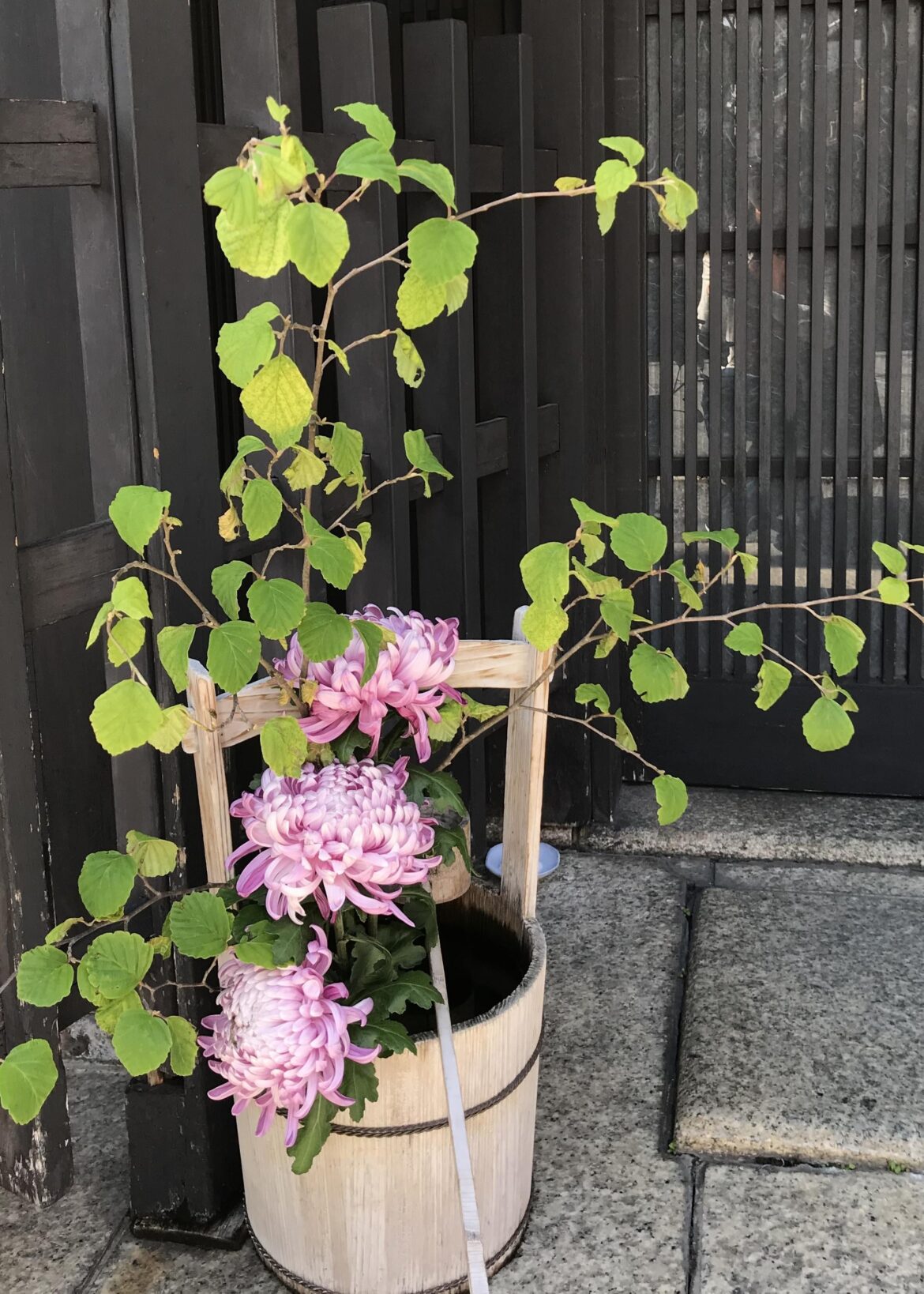 The beauty of daily life