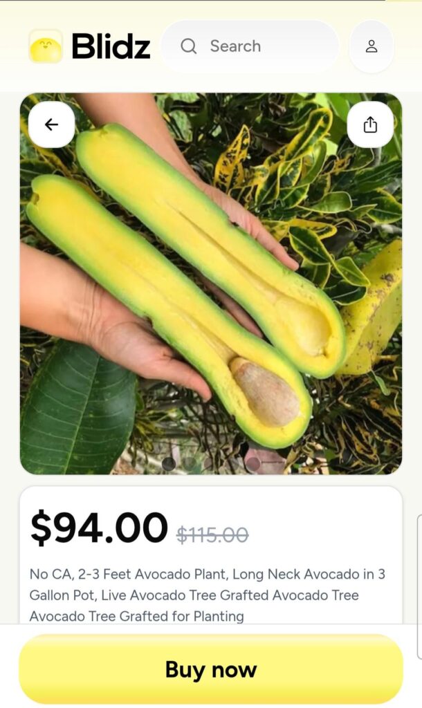 This is AI right? Otherwise oh my!